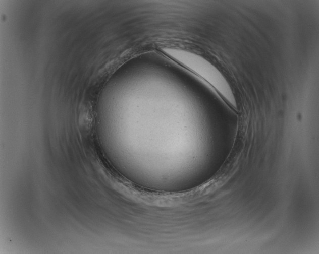 X0000086090040200704091338