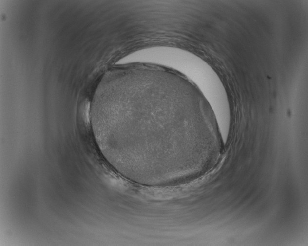 X0000086090041200704091338