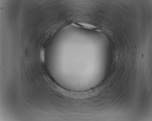 X0000086090042200704091338