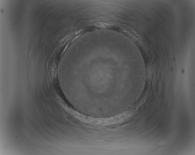 X0000086090043200704091338