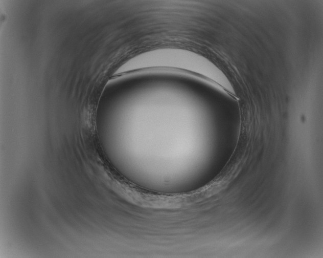 X0000086090044200704091338