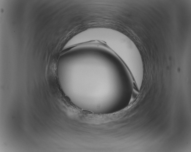 X0000086090045200704091338