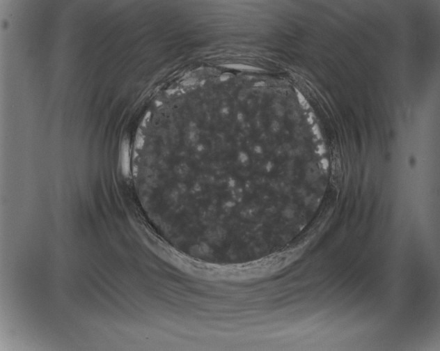 X0000086090046200704091338