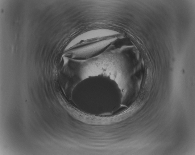 X0000086090048200704091338