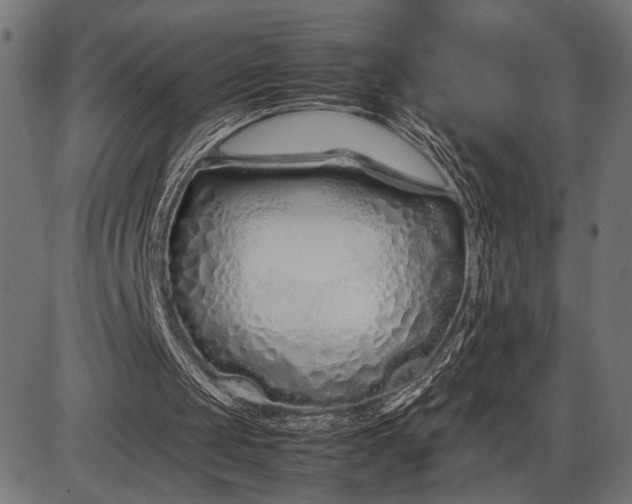 X0000086090049200704091337