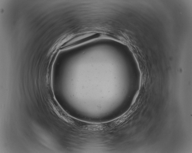 X0000086090050200704091337