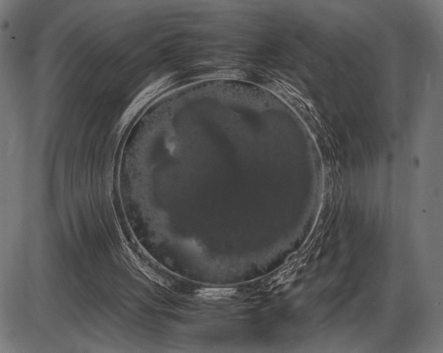 X0000086090051200704091337