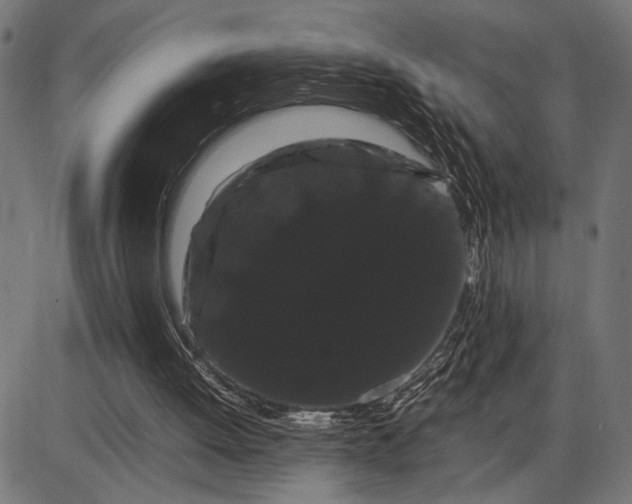 X0000086090052200704091337