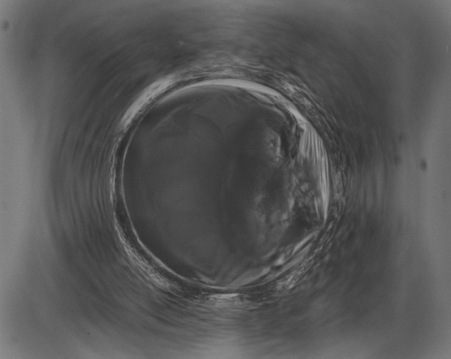 X0000086090054200704091337