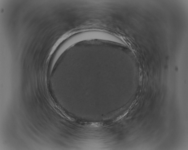 X0000086090056200704091337