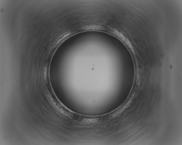 X0000086090057200704091337