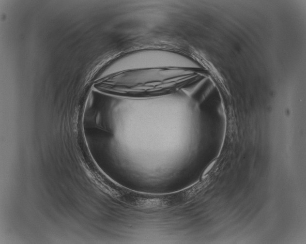 X0000086090058200704091337