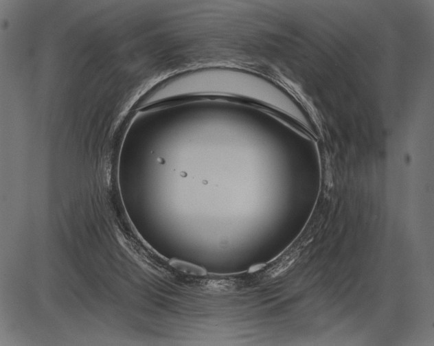 X0000086090060200704091337