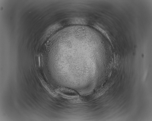 X0000086090061200704091337