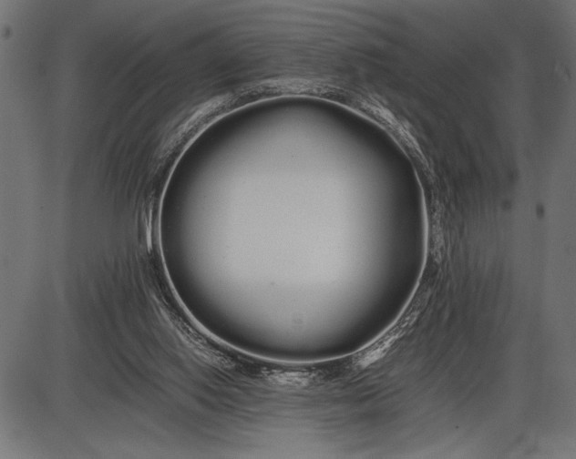 X0000086090062200704091337