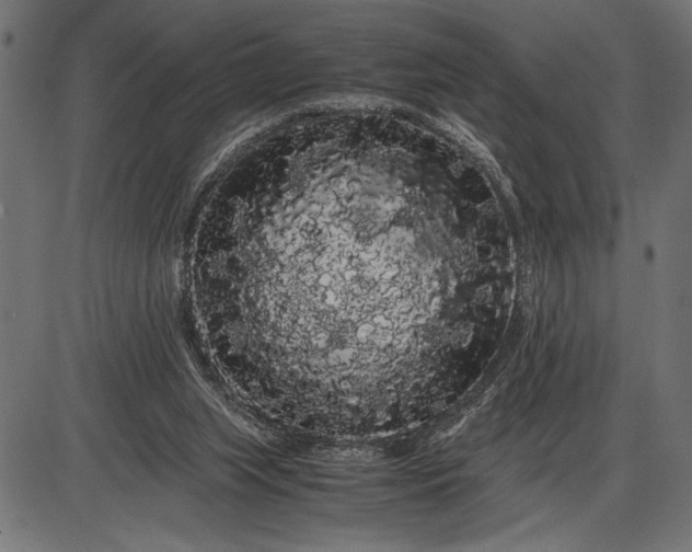 X0000086090063200704091337