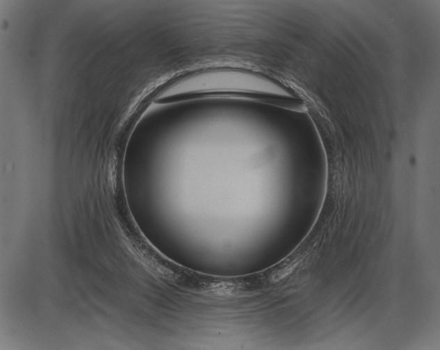 X0000086090064200704091337