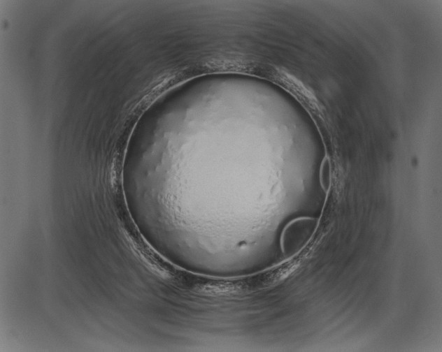 X0000086090065200704091337