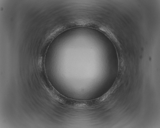 X0000086090066200704091337