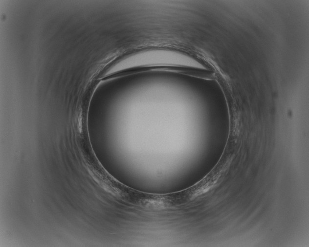 X0000086090068200704091337