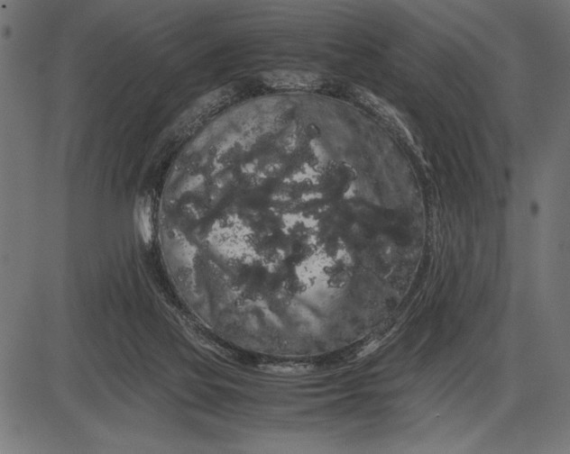 X0000086090069200704091337