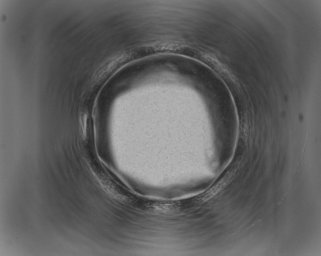 X0000086090070200704091337