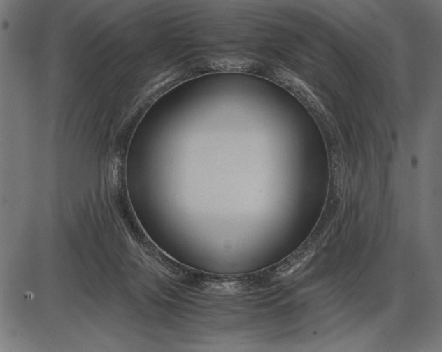 X0000086090071200704091337