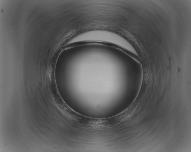 X0000086090072200704091337