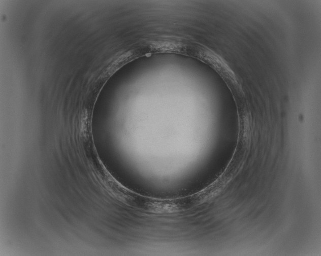 X0000086090073200704091337