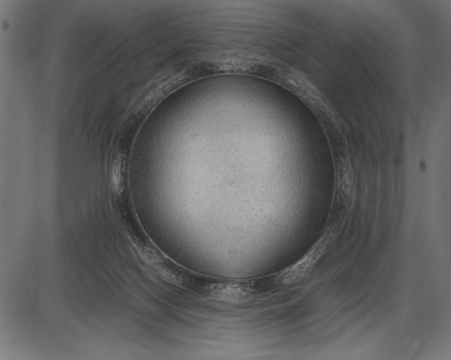 X0000086090074200704091337