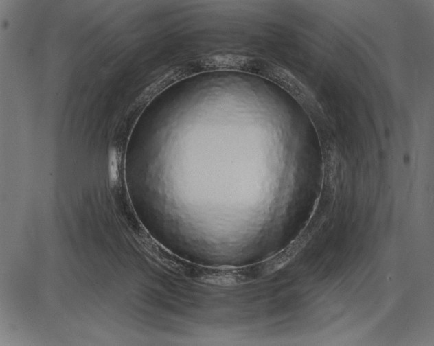 X0000086090075200704091337