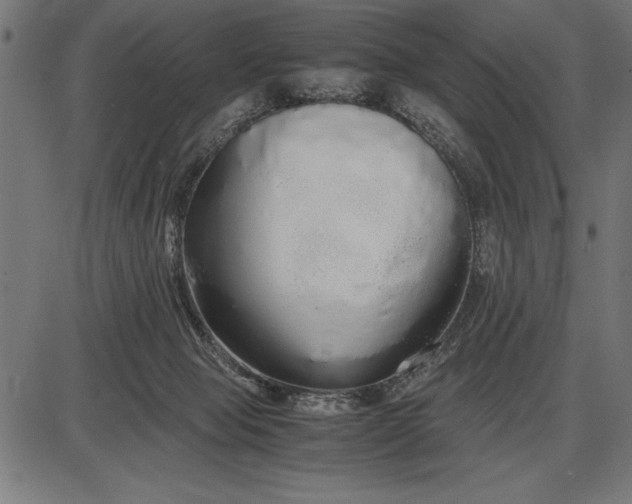 X0000086090077200704091337