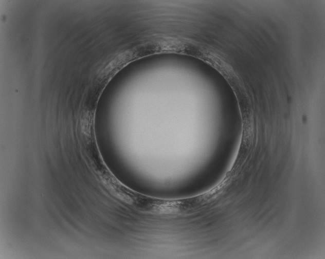 X0000086090078200704091337