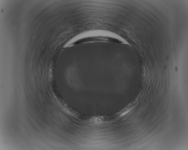 X0000086090080200704091337