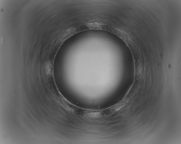 X0000086090081200704091337