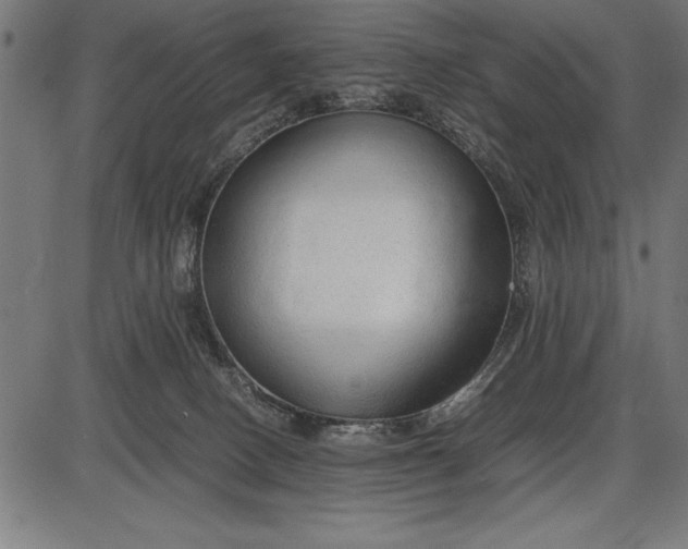 X0000086090082200704091337