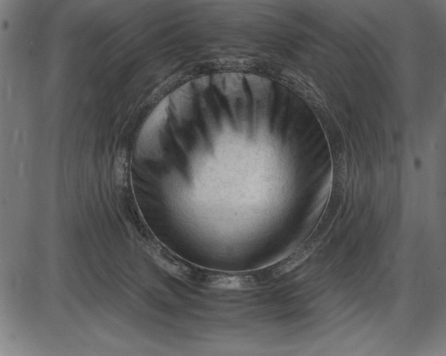 X0000086090083200704091337