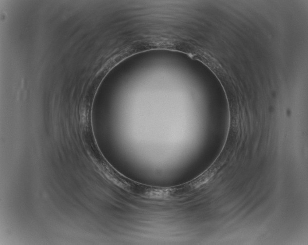 X0000086090084200704091337