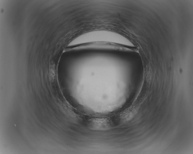 X0000086090085200704091337