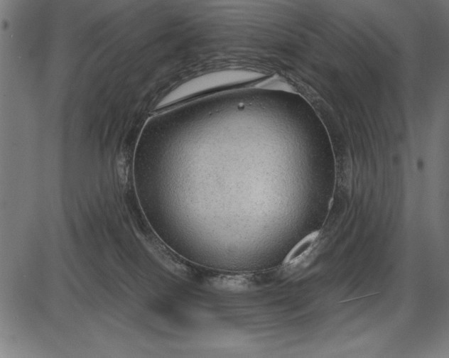 X0000086090086200704091337