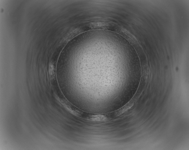 X0000086090087200704091337