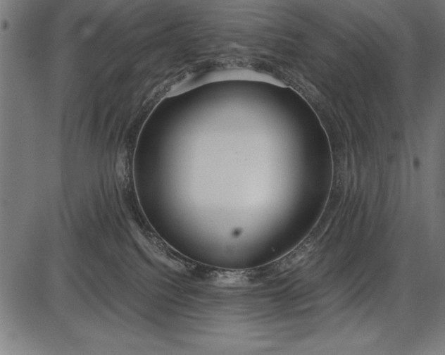 X0000086090088200704091338