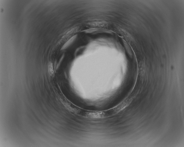 X0000086090089200704091338