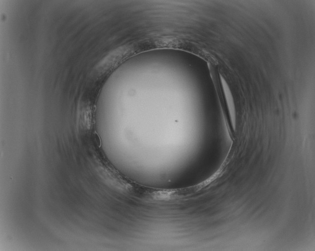 X0000086090090200704091338