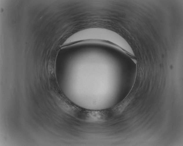 X0000086090091200704091338