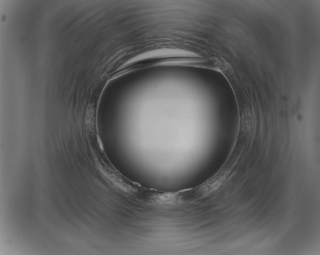 X0000086090092200704091338