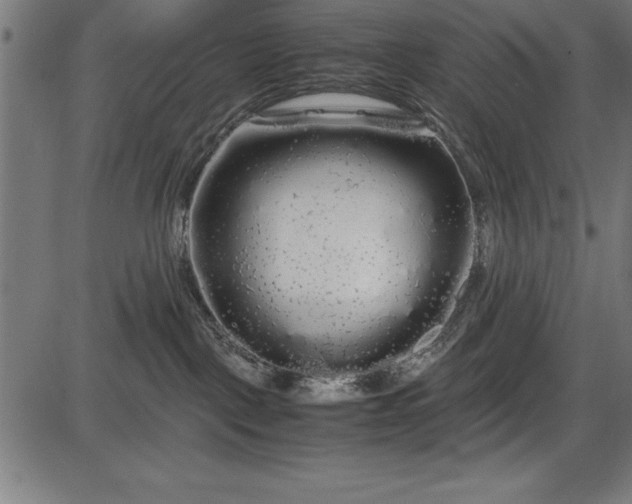 X0000086090093200704091338