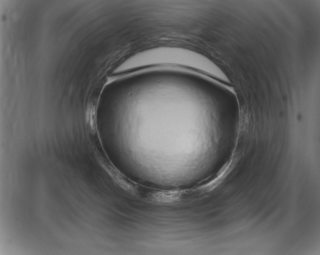 X0000086090094200704091338