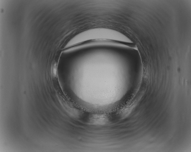 X0000086090095200704091338