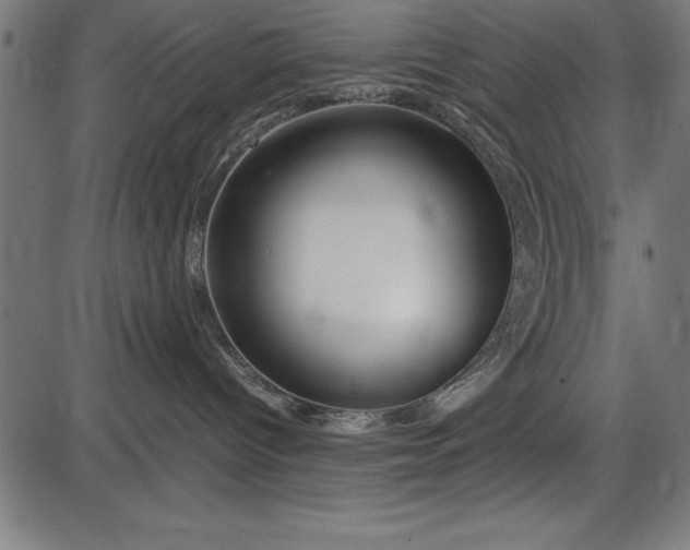 X0000086090096200704091338